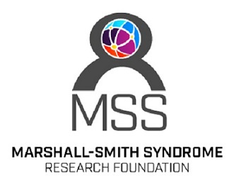 MSS logo tmp