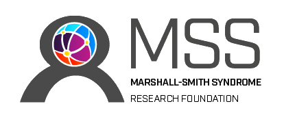 MSS full horizontal transparant